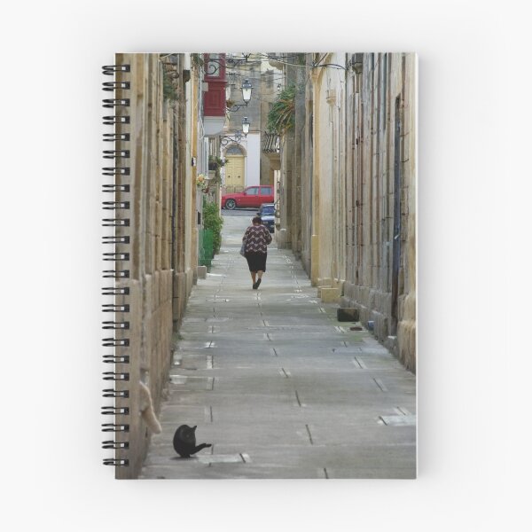 Aperçu de l'œuvre Village street créée et vendue par M G  Pettett.