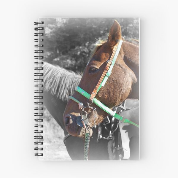 Item preview, Geared Up designed and sold by ctgponies.