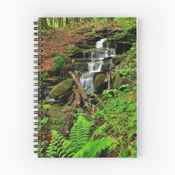 Item preview,  LOYALSOCK STATE FOREST  designed and sold by MIKESANDY.
