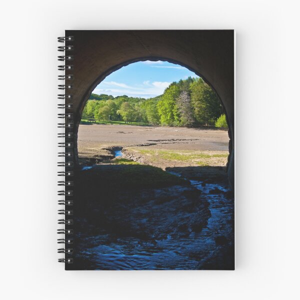 Item preview, north park lake designed and sold by David Roman.