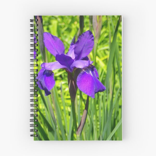 Item preview, Siberian Iris designed and sold by Betty Mackey.