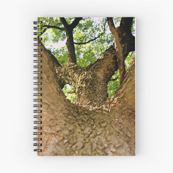 Item preview, Climb up to the top designed and sold by George Tibbles.