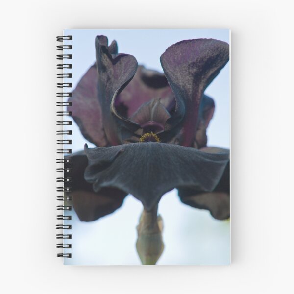 Item preview, black iris designed and sold by jude walton.
