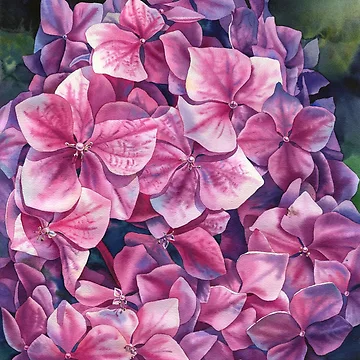 Artwork thumbnail, Spring hydrangea by Emma Reznikova