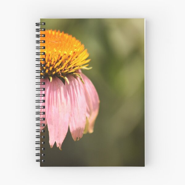 Item preview, Natural Sun Dial designed and sold by Olivia Plasencia.