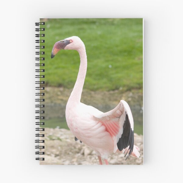 Item preview, Flamingo designed and sold by audhudson.