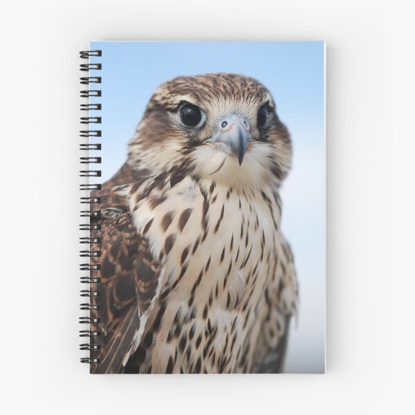 Item preview, Prairie falcon designed and sold by Lynn Hathaway.
