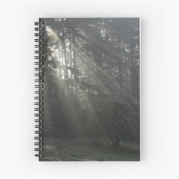 Item preview, Sun Rays through the Trees on a Foggy Winter Day designed and sold by OrPhotoJohn.