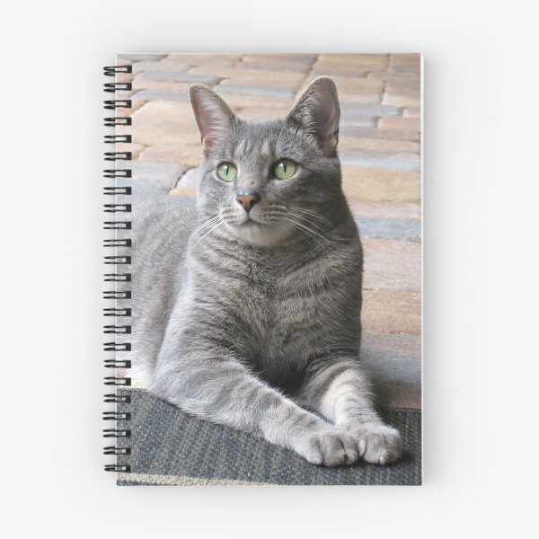 Item preview, Handsome Boy designed and sold by MichelleR.