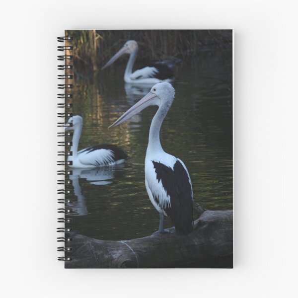 Aperçu de l'œuvre bird 3 créée et vendue par ashara.