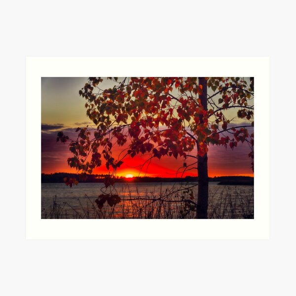 Beautiful Autumn Art Print