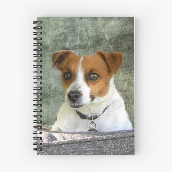 Item preview, Spanky's "Serious" Look designed and sold by Zoe Marlowe.