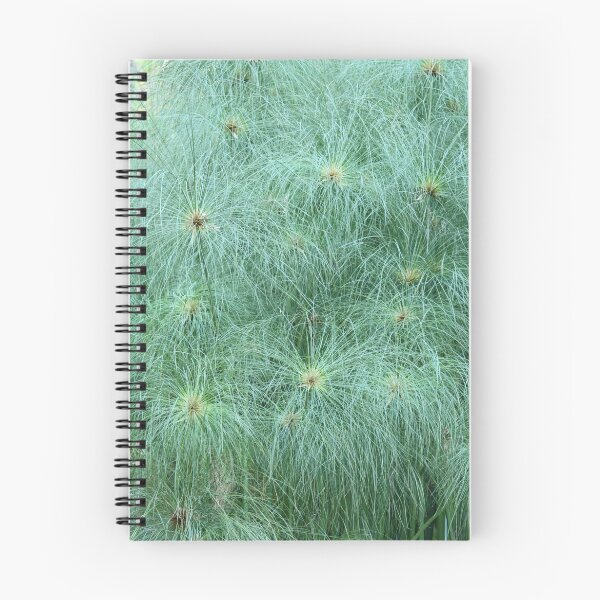 Item preview, Reeds 2 designed and sold by Jerry Tingle - photofirst.