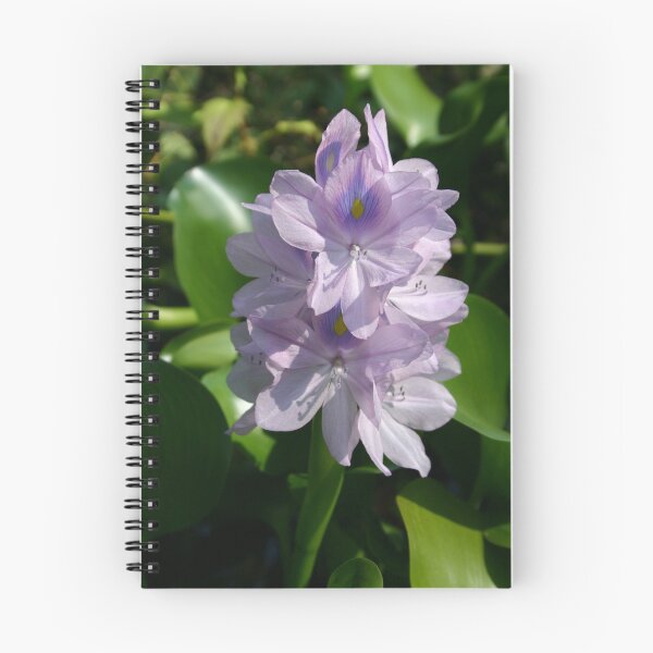 Item preview, Water Hyacinth designed and sold by Brent McMurry.