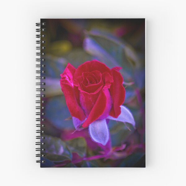 Item preview, Graceland designed and sold by Cupertino.