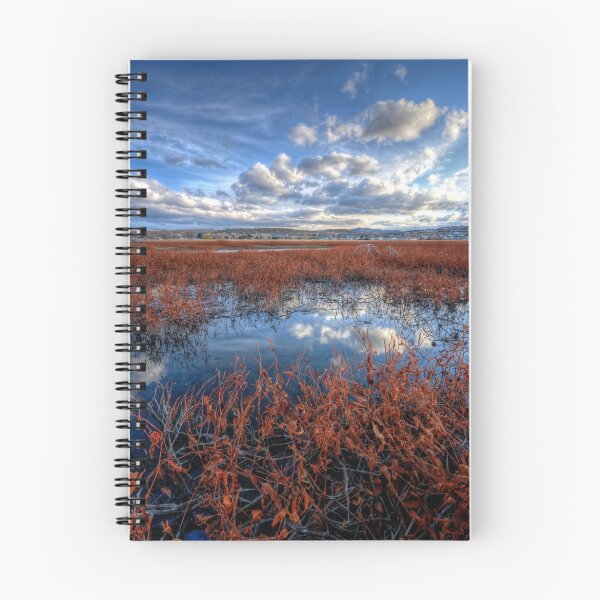 Item preview, Sky Strip designed and sold by Bob Larson.