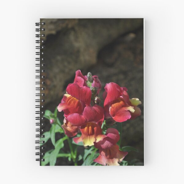 Item preview, Snapdragon Red designed and sold by Heather A McGhee.