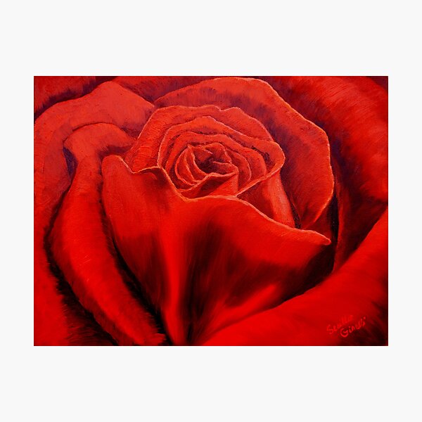 Item preview, Red Rose designed and sold by sesillie.