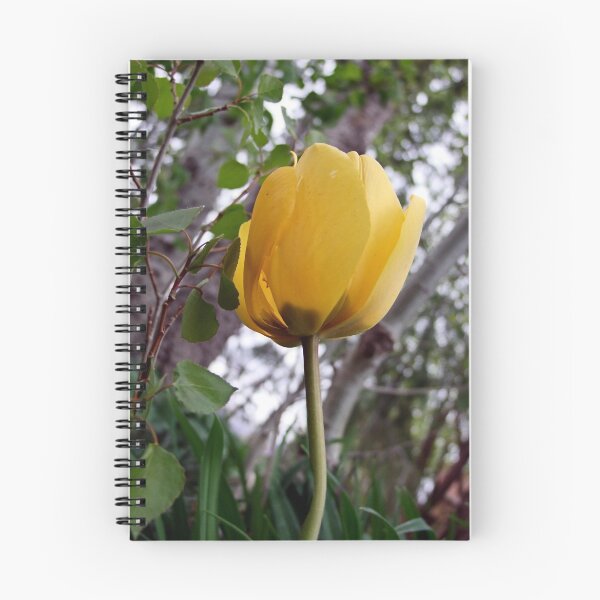 Item preview, Just One designed and sold by Jan  Tribe.