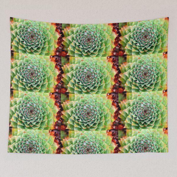 Item preview, Kings Beach Succulent No1 designed and sold by NakedSunday.