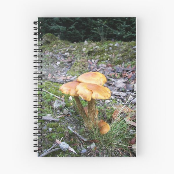 Item preview, Roadside Toadstools designed and sold by michellerena.