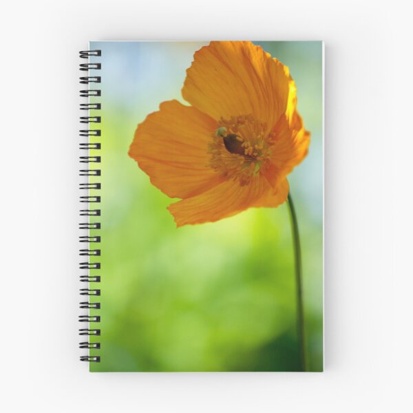 Item preview, Welsh Poppy designed and sold by Ian Sanders.