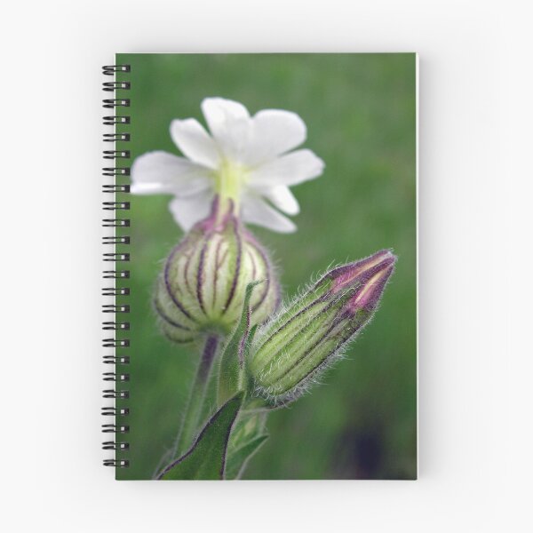 Item preview, Bladder Campion designed and sold by Carla Wick/Jandelle Petters.