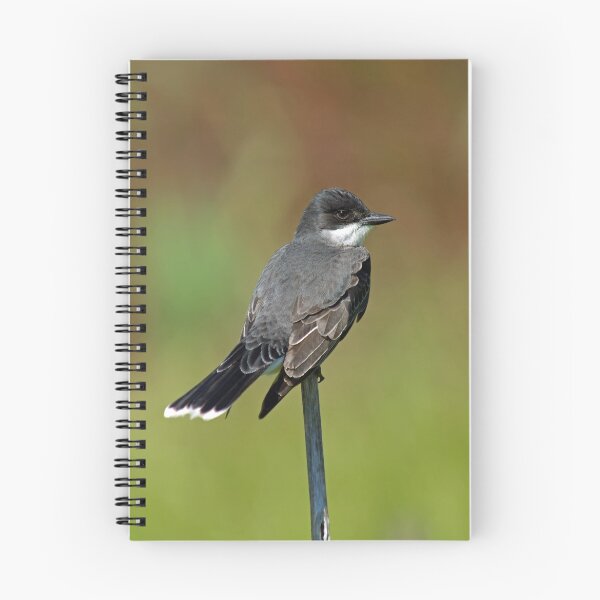 Item preview, Eastern Kingbird designed and sold by Michael Mill.