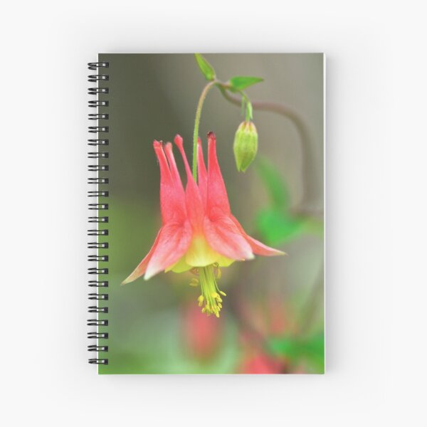 Wild Columbine Spiral Notebook