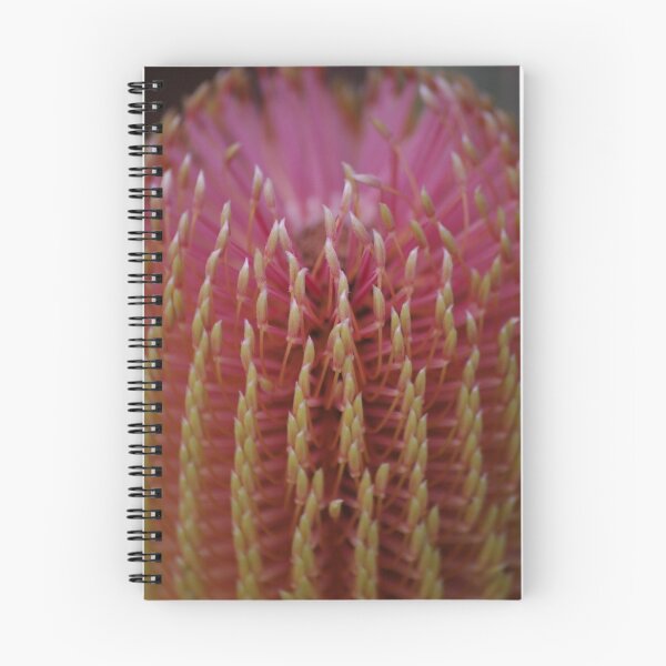 Item preview, Firewheel Banksia designed and sold by Gnangarra.