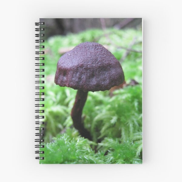 Item preview, Black Fungi with moss.  designed and sold by LillyDigi.