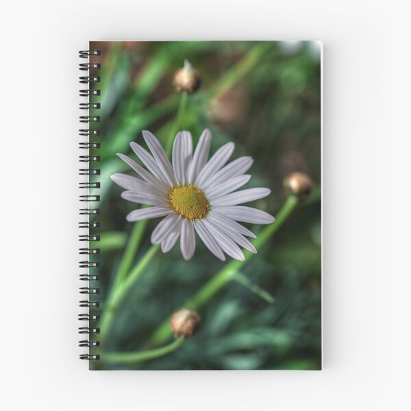 Item preview, The Daisy designed and sold by John Pitman.