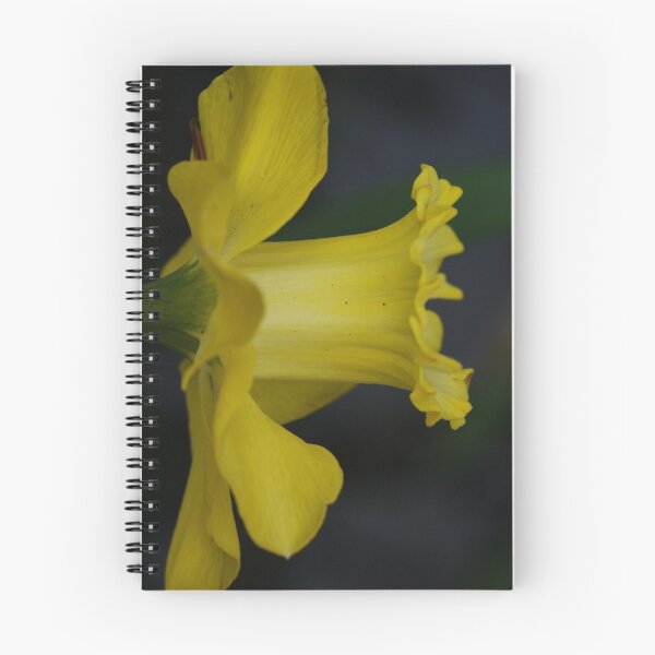Item preview, Yellow Daffodil designed and sold by Lindie Allen.