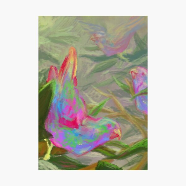 Parrot Treasure Photographic Print