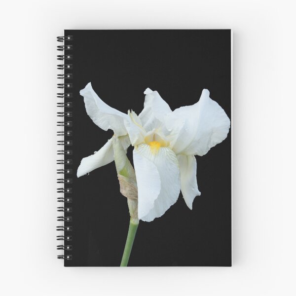 Item preview, White on black designed and sold by David Meacham.