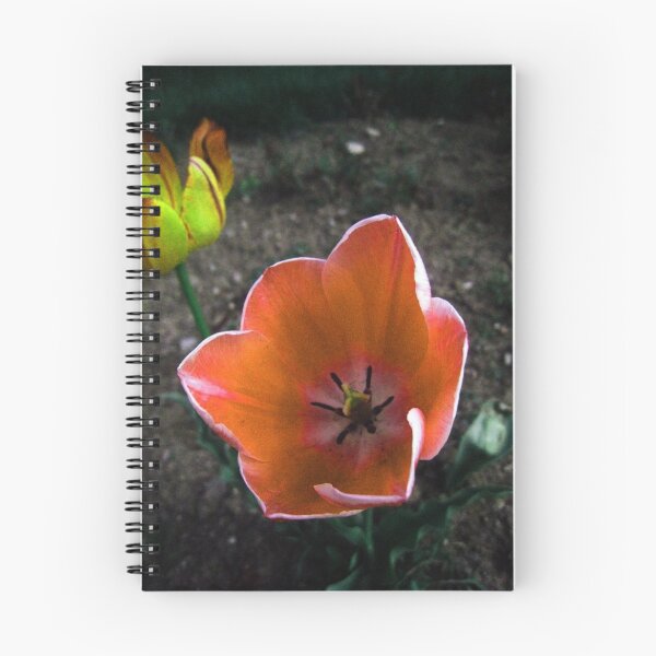 Item preview, a good red designed and sold by TÜLAY ÇAKIR.