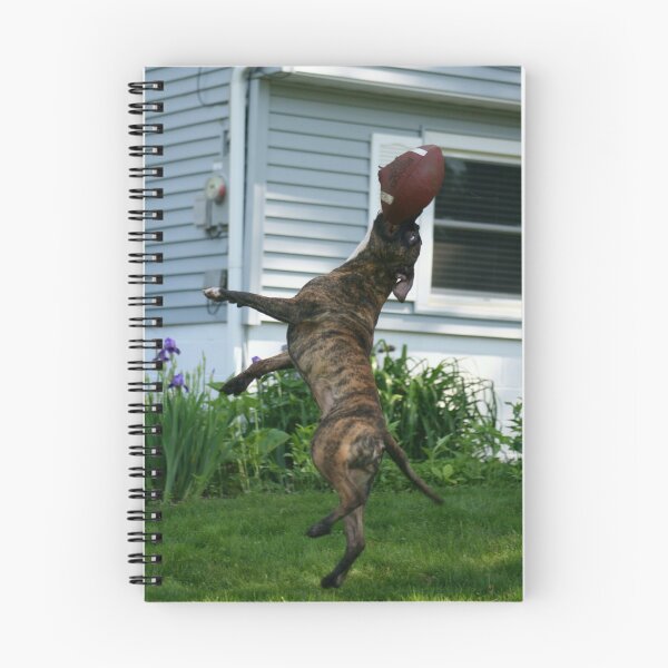 Item preview, Interception #5 designed and sold by Alexandra Wise-Brogna.