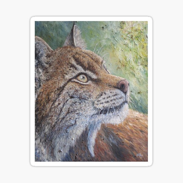 Eurasian Lynx (Lynx lynx) Sticker