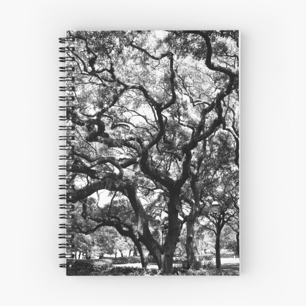 Item preview, family tree designed and sold by diana anderson.