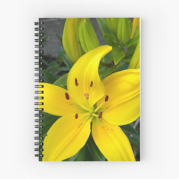 Item preview, Yellow Burst designed and sold by Jaclyn Hughes.