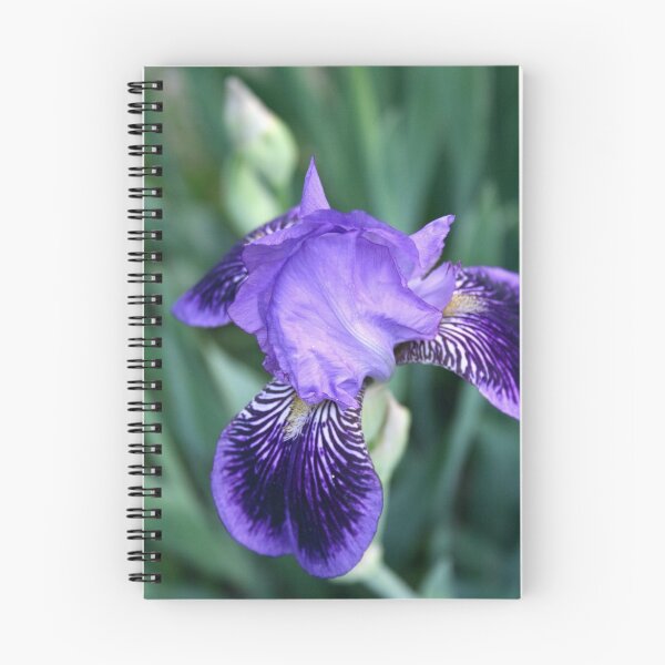 Item preview, Purple Passion 1 designed and sold by Alexandra Wise-Brogna.