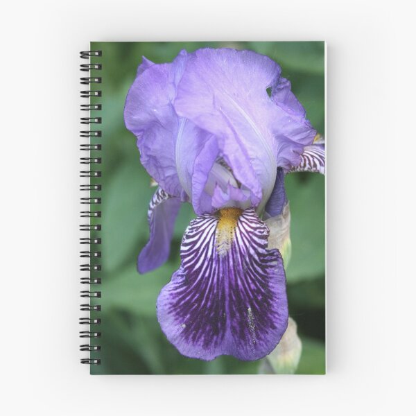 Item preview, Purple Passion 2 designed and sold by Alexandra Wise-Brogna.