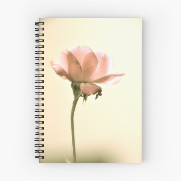 Item preview, Lovely  designed and sold by Valerie Rosen Photography.