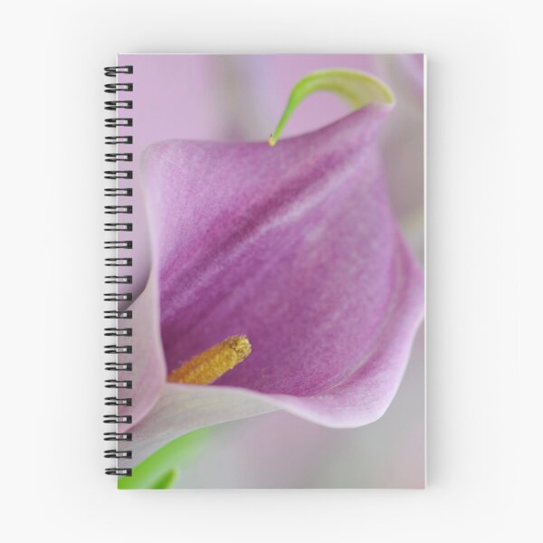 Artikelvorschau, Mauve Arum Lily entworfen und verkauft von Extraordinary Light.