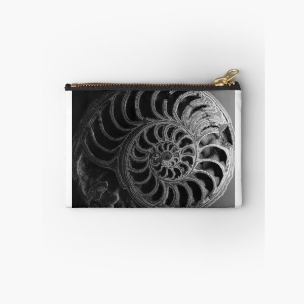 Item preview, Ammonoid. Sedgwick Museum of Earth Sciences, Cambridge, UK designed and sold by Igor Pozdnyakov.
