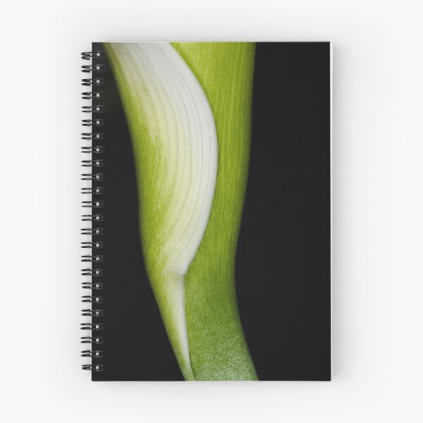 Item preview, Zantedeschia  designed and sold by Luca Renoldi.