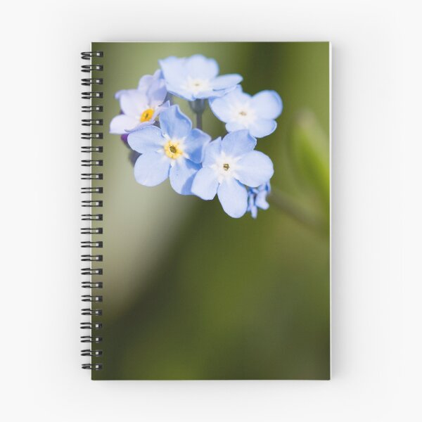 Item preview, Forget~Me~Not designed and sold by Lynne Morris.
