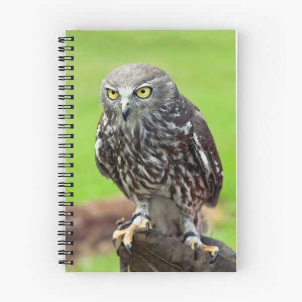 Item preview, Green Eyes - barking owl designed and sold by Jenny Dean.