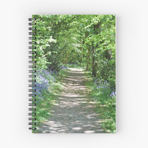 Item preview, Bluebell Path designed and sold by paulmorley1.