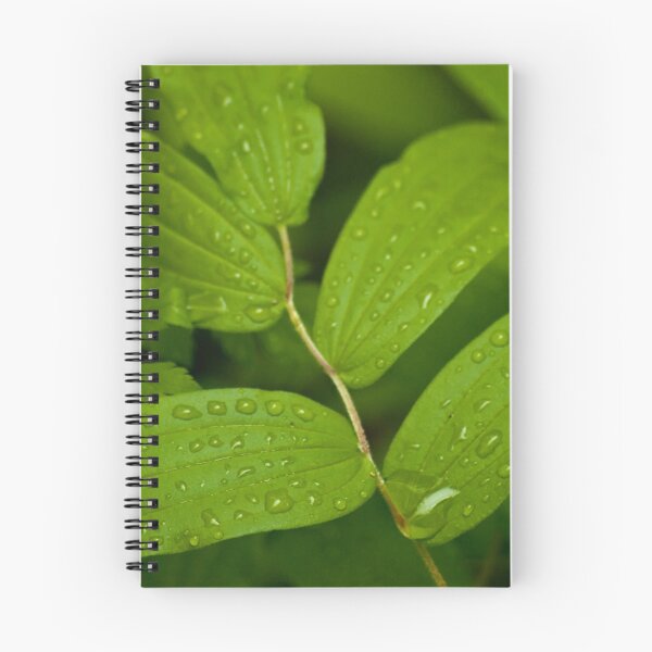 Item preview, After the Rainfall designed and sold by Rick Ruppenthal.